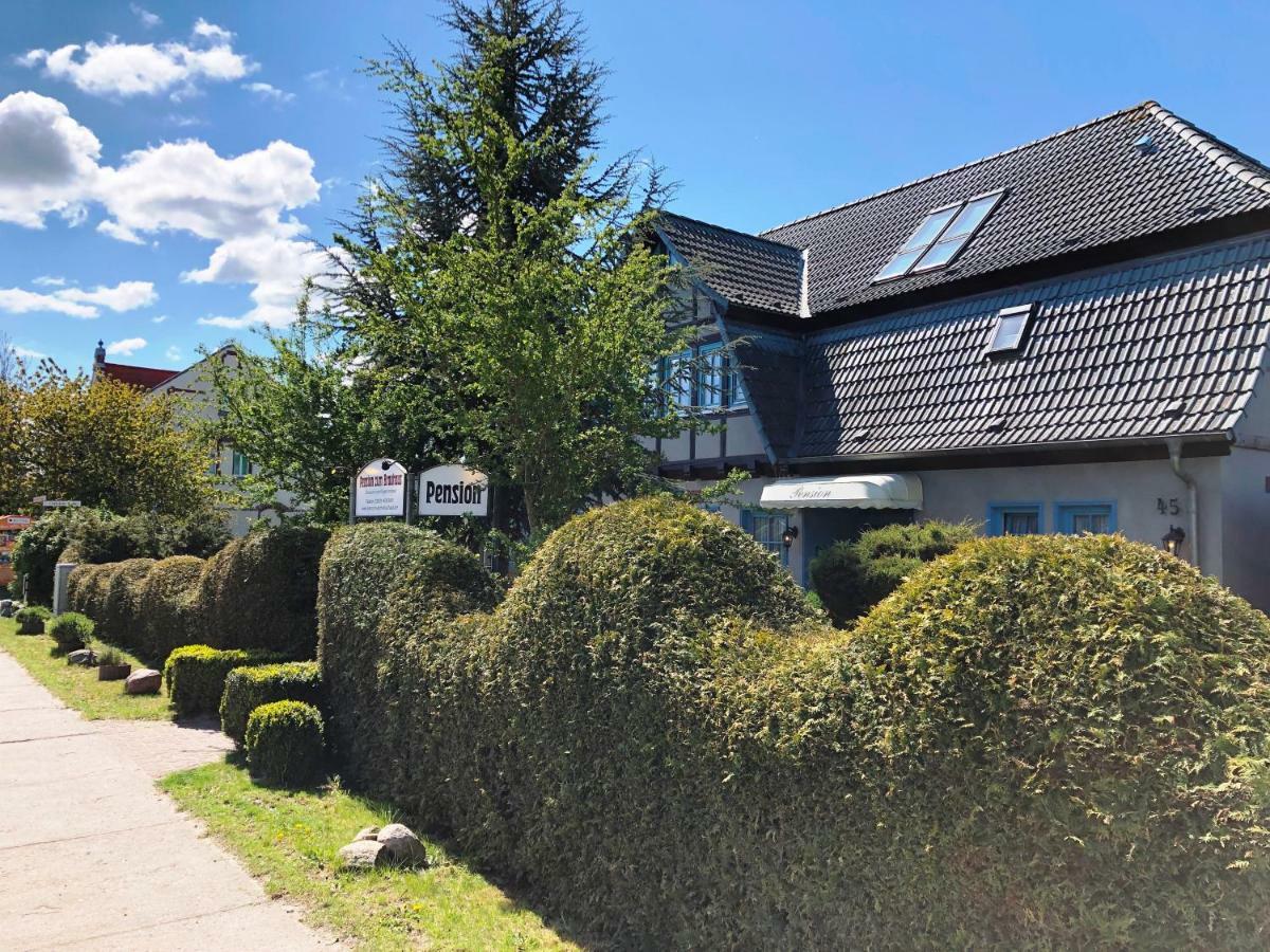Pension Zum Brauhaus Щралзунд Екстериор снимка