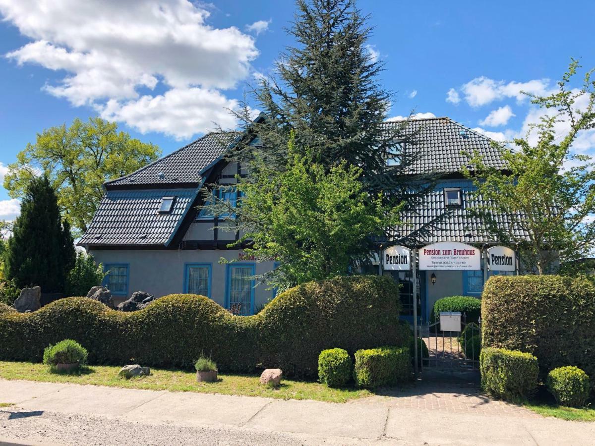 Pension Zum Brauhaus Щралзунд Екстериор снимка